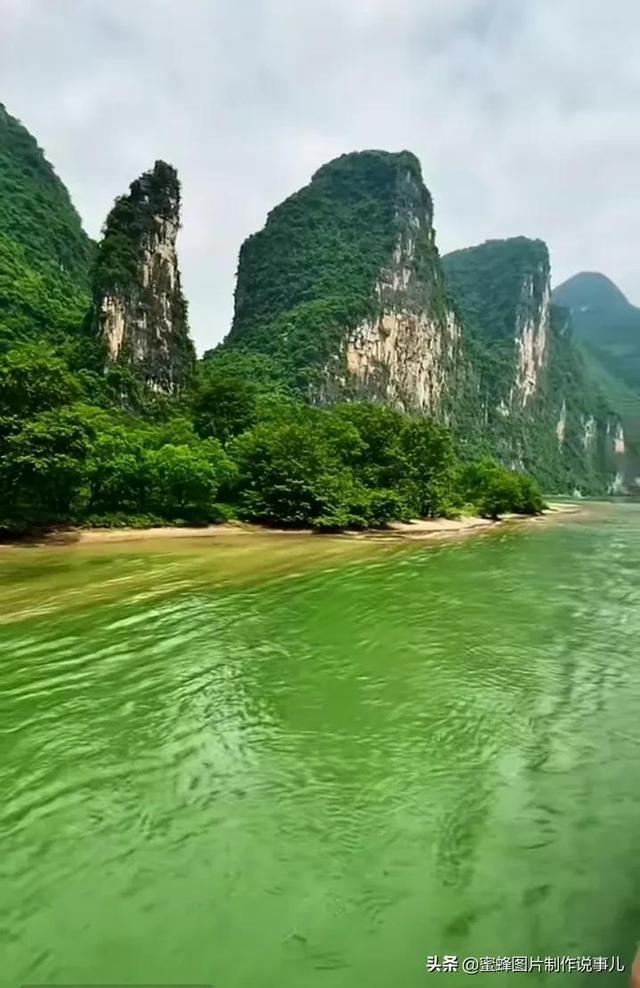 葫芦瓜变苦还能不能吃?-权威知识问答网页